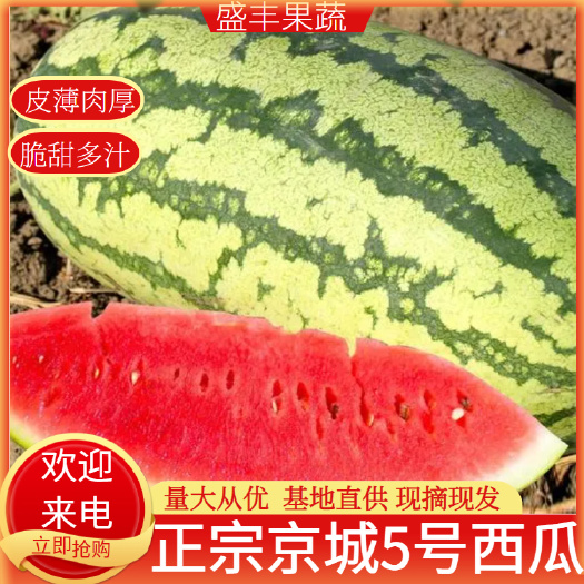 宜城市金城5号西瓜精品8424大量上市美都麒麟瓜产地直销