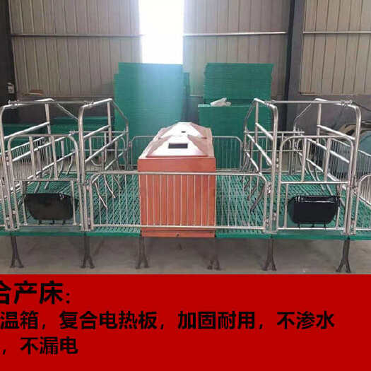 泊头市母猪产床双体产床