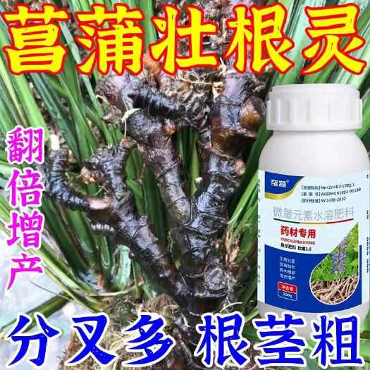 栾川县石菖蒲专用膨大素地下猛长膨大素控旺增产增收抗病防畸增产爆根肥