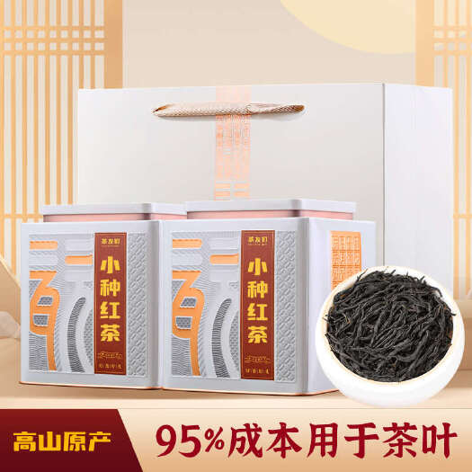 安溪县正山小种红茶 2024武夷山新茶茶叶浓香型花香型罐装500g