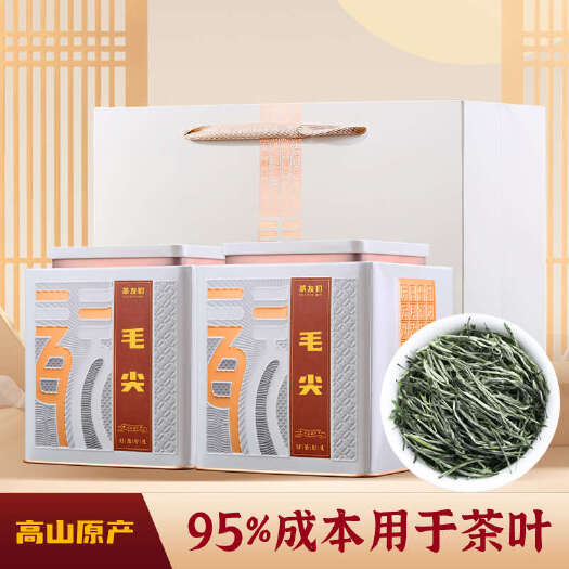 2024新茶毛尖茶叶高山绿茶罐装清香雨前嫩芽浓香型500g