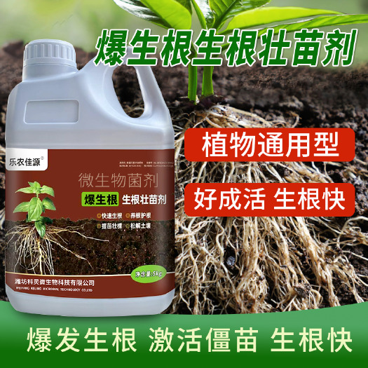寿光市爆生根原液强力生根剂壮苗剂生根液移栽蔬菜果树花卉绿萝专用肥料