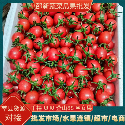 千禧 贝贝 釜山 88圣女果 产地发货 大量有货