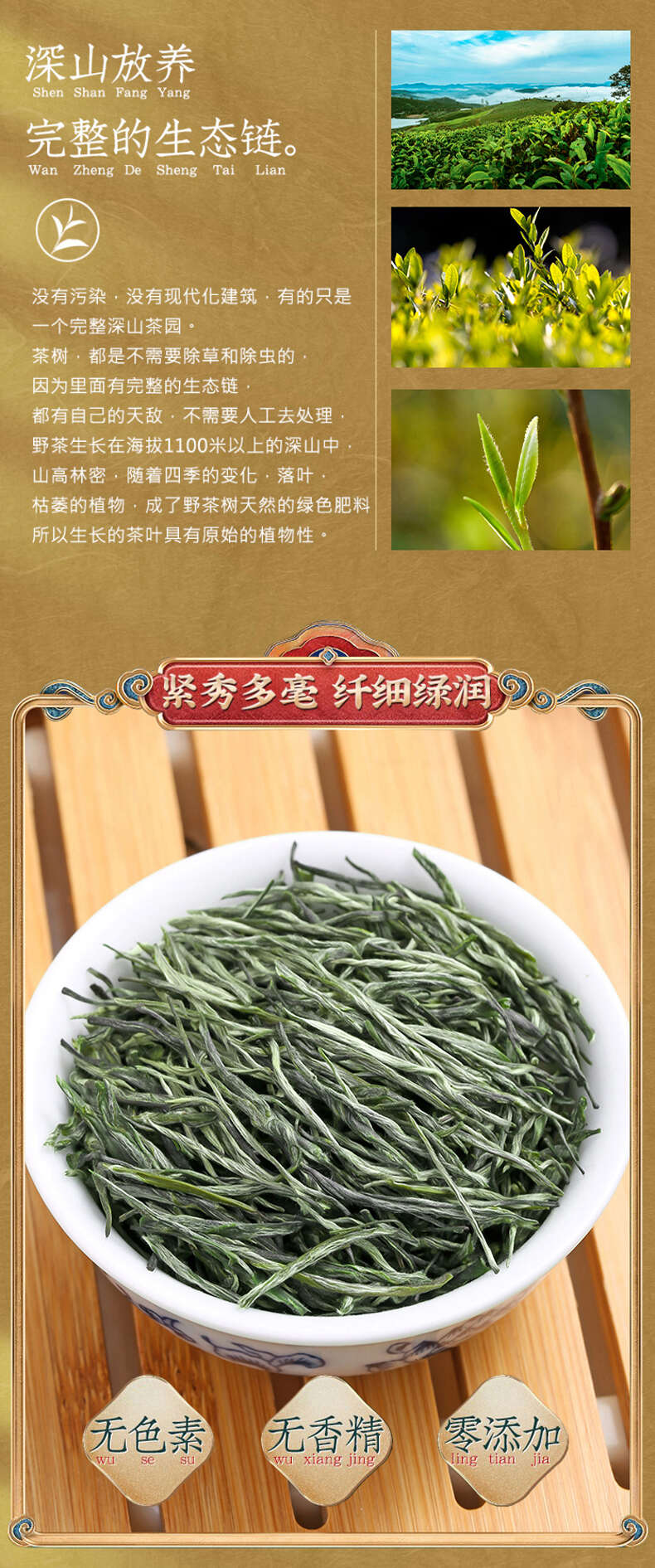 2024新茶毛尖茶葉高山綠茶罐裝清香雨前嫩芽濃香型500g