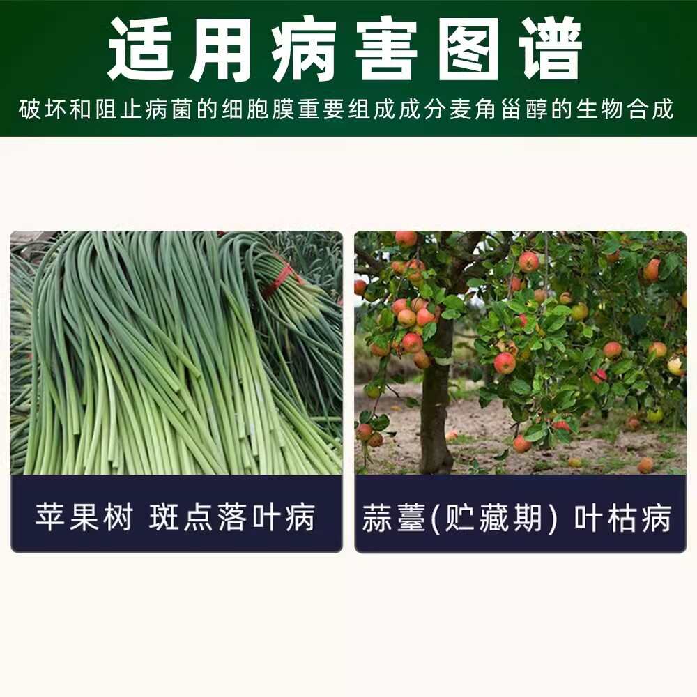 30%已唑醇葡萄小麦白粉病锈病纹枯病果树斑点落叶病农药杀菌剂