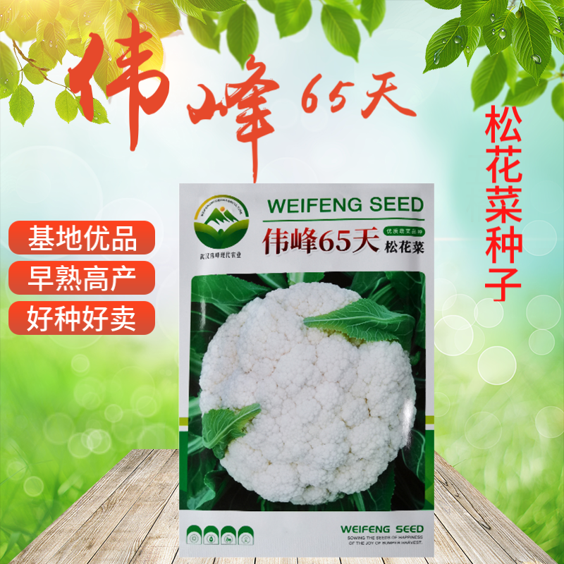 基地优品伟峰65松花菜种子有机花菜种籽花椰菜籽早中熟松花菜