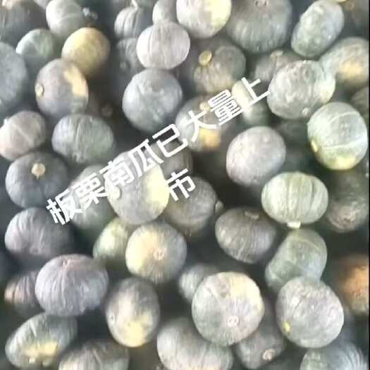 嘉鱼县板栗南瓜