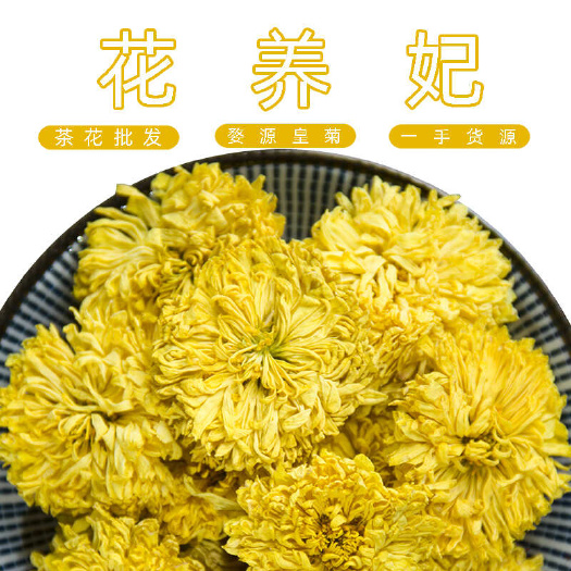 婺源皇菊大朵整杯 黄贡菊花茶 黄菊花 泡水喝的花草茶批发