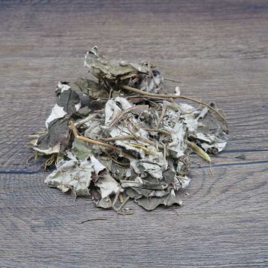 兔耳风 毛大丁 石凤丹 肾炎草牛耳草冷背药材批发500g包油