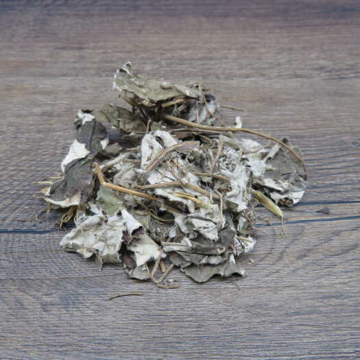 安国市兔耳风 毛大丁 石凤丹 肾炎草牛耳草冷背药材批发500g包油