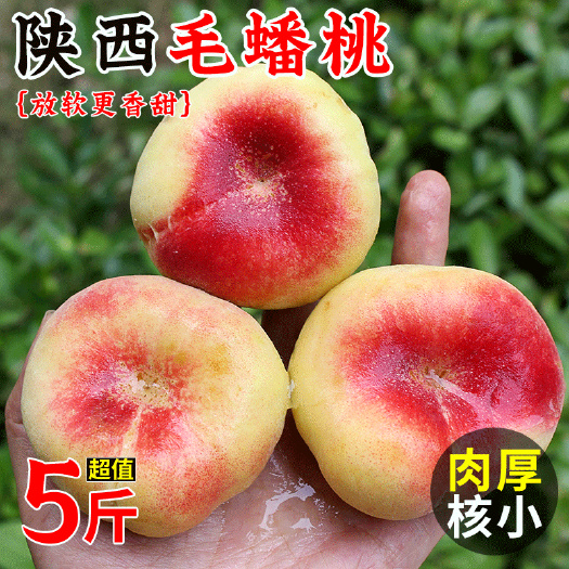 大荔县正宗山东肥城毛蟠桃彩虹毛蟠桃香妃彩虹毛蟠桃5斤一件代发
