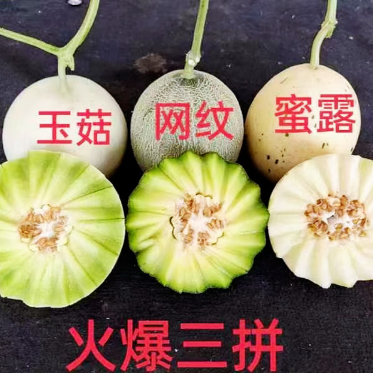 莘县三拼蜜瓜 冰淇淋玉菇+玫珑网纹+蜜露蜜瓜9斤装代发
