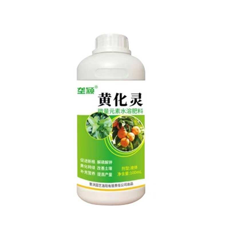 急救黄化病】果树黄化病专用药严重黄叶黄斑黄龙病柑橘树抗病增产