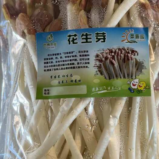  花生芽