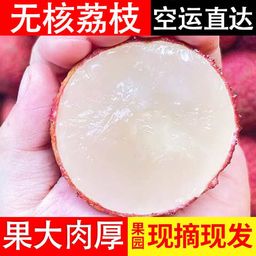 海口海南无核荔枝一件代发产地直发一手货源对接各大电商平台