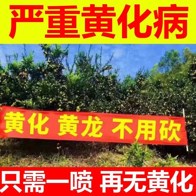 急救黄化病】果树黄化病专用药严重黄叶黄斑黄龙病柑橘树抗病增产