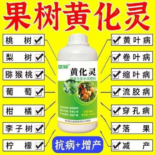 栾川县急救黄化病】果树黄化病专用药严重黄叶黄斑黄龙病柑橘树抗病增产