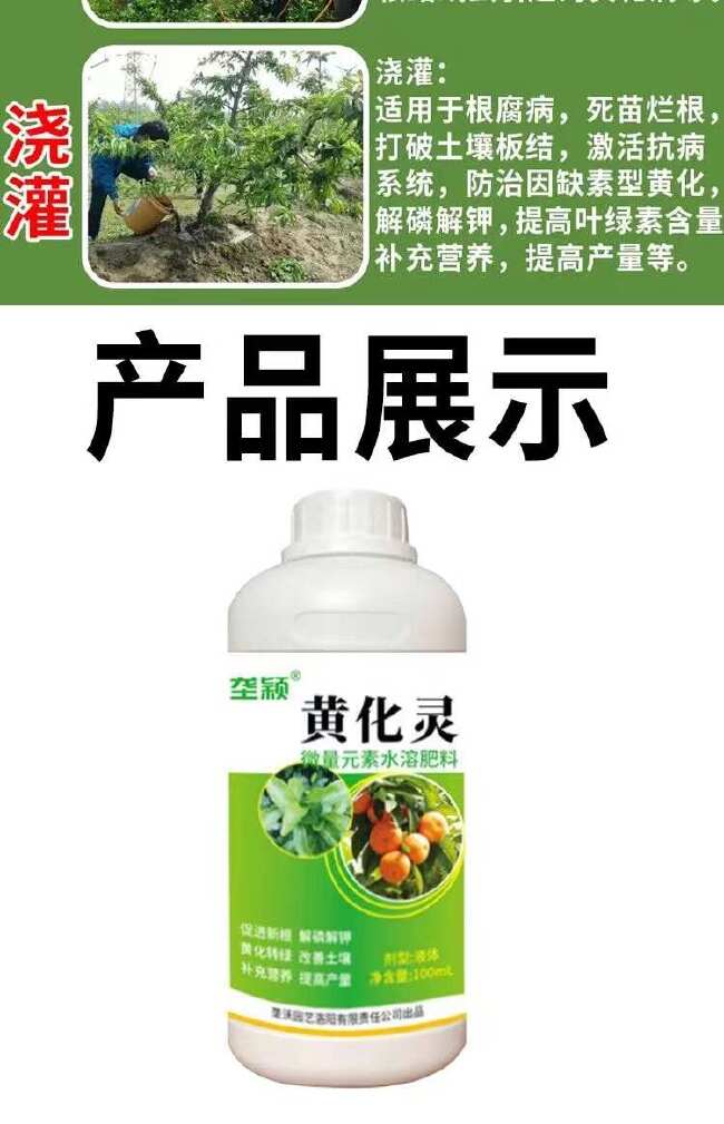 黄化病专用果树黄叶病叶子黄叶斑黄叶落花落果果树通用