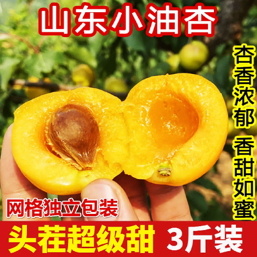 山东沂蒙山珍珠小油杏珍珠油杏3斤装