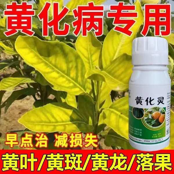 黄化病专用果树黄叶病叶子黄叶斑黄叶落花落果果树通用