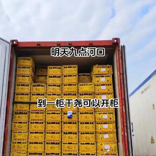 河口县越南干尧