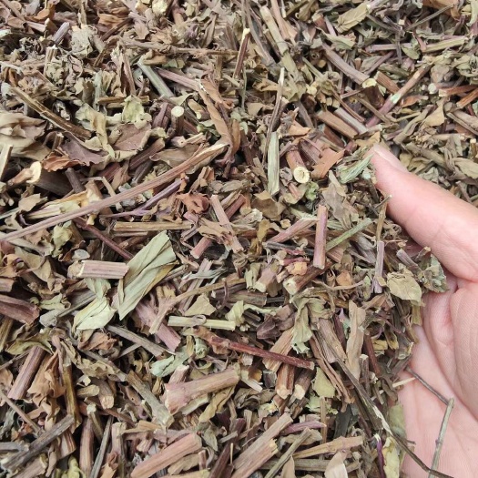猫须草 肾茶 冷背中药材批发