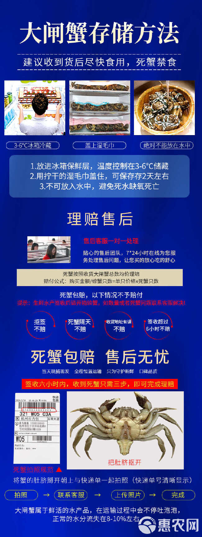 苏霸王阳澄湖镇大闸蟹598型公蟹3.2两母蟹2.2两8只装