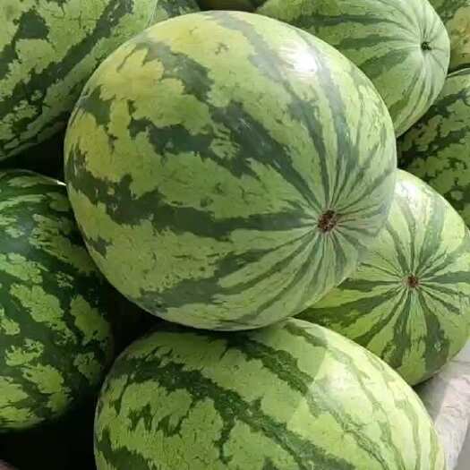 蒲城县金城五