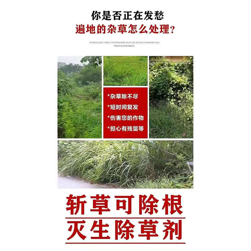 75%甲嘧磺隆公路鐵路防火帶開荒地惡性雜草爛根死草劑正品