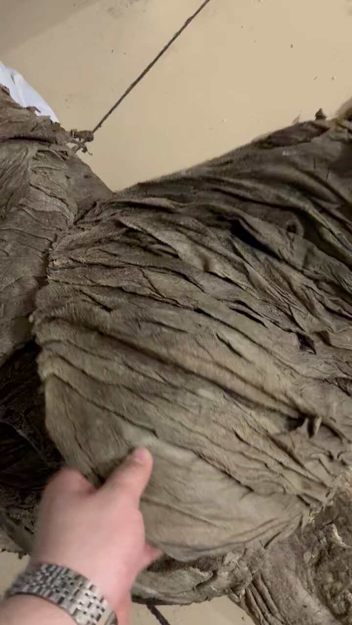 盐百叶