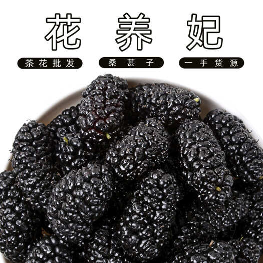 花养妃 桑葚干 500g厂家批发散装直供免洗无沙即食桑葚干果