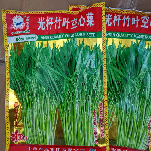 福州光杆竹叶空心菜种子 长叶型 植株直立 口感脆嫩