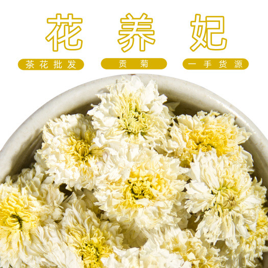 安国市黄山贡菊白菊花茶男女凉茶金丝皇菊胎菊茶夏季