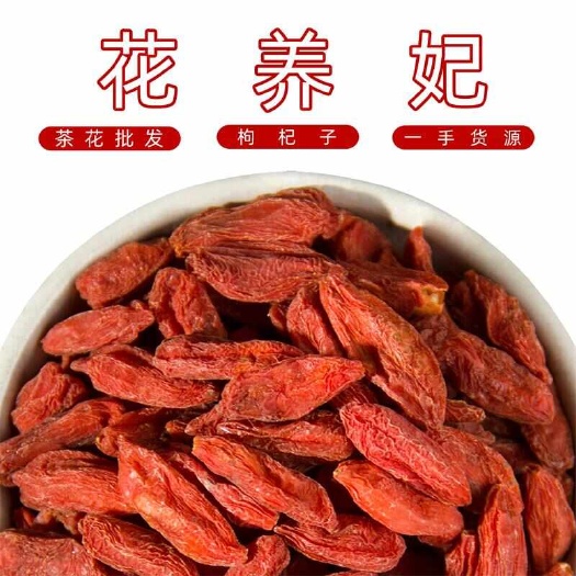 红枸杞 中宁枸杞枸杞子宁夏男肾枸杞茶持久构纪免洗苟杞狗杞