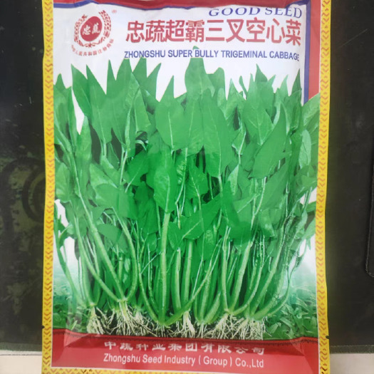 福州中蔬三叉空心菜种子 一籽三叉空心菜种子 叶片大梗粗 叶宽椭圆
