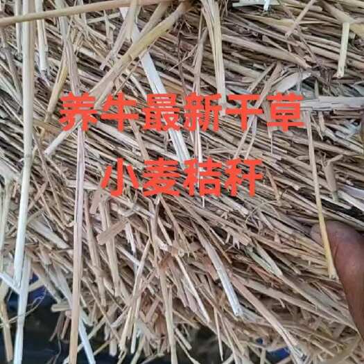 正阳县小麦秸秆