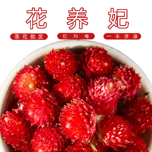 红巧梅花茶干花泡水千日红花日红花瓣500克厂家批发