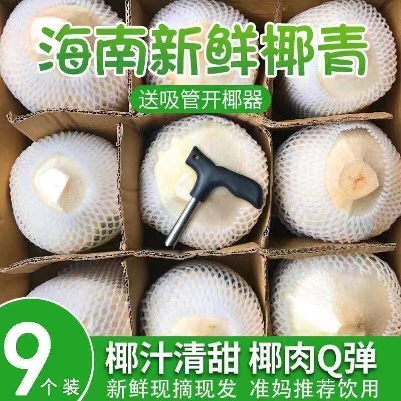 海南文昌去皮椰青椰子水9个装 新鲜生椰当季整箱水果椰