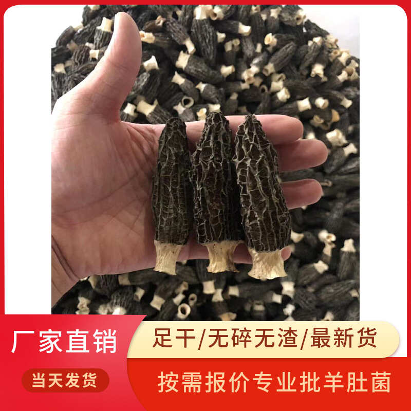 羊肚菌干货厂家批发整箱剪柄黑厚肉大个食用菌煲汤便宜代发价格优