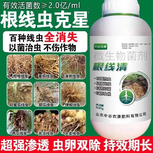 長沙根結(jié)線蟲專用藥淡紫紫孢菌清根結(jié)根瘤根線地下微生物菌劑蟲藥