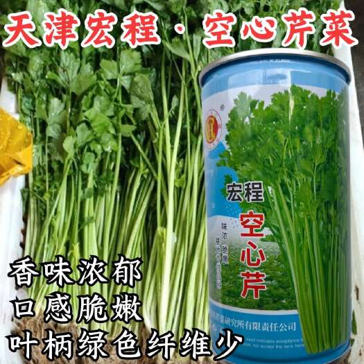 洛阳空心芹菜种子 绿柄耐热 口感脆嫩 香味浓郁 生长速度快