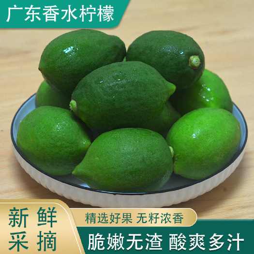 翁源县广东无籽香水柠檬新鲜现摘正宗青柠檬奶茶店当季大果暴打整箱批发