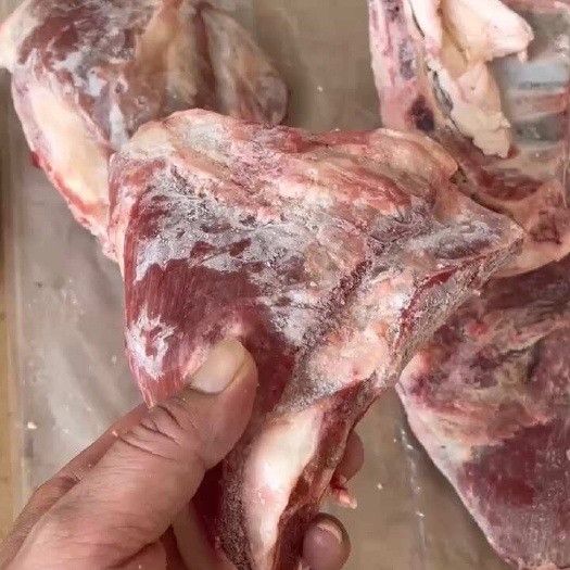 河间市羊排块 羊排锅食材