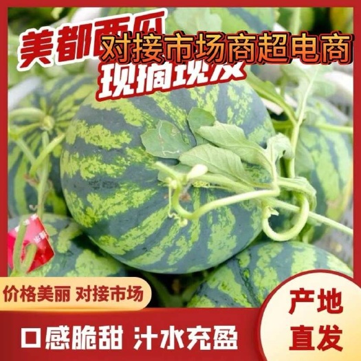 美都麒麟西瓜 脆甜多汁来电详谈