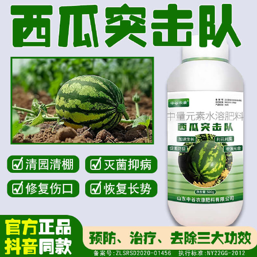 长沙西瓜六必治突击队甜瓜哈密瓜黄叶枯萎青枯专用赤斑炭疽微生物菌剂