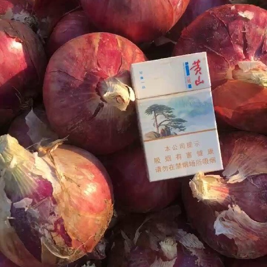 上海精品洋葱3两起