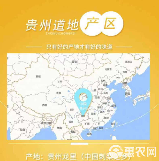 2024新鲜刺梨出货中，维C含量高，多汁脆爽，欢迎咨询，