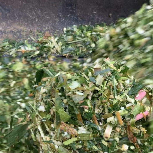 横州市甜玉米杆青贮草料 牛羊草料