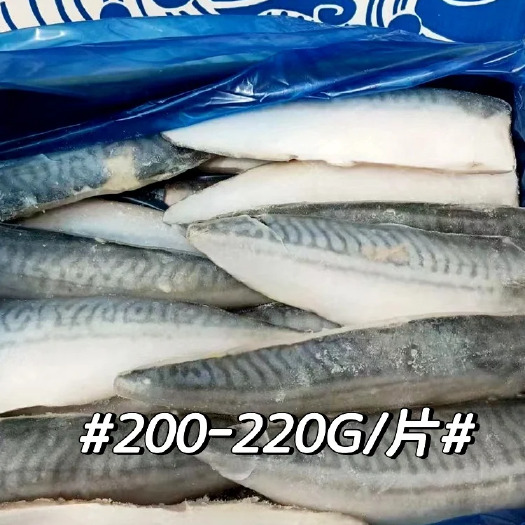 上海青花鱼200-220