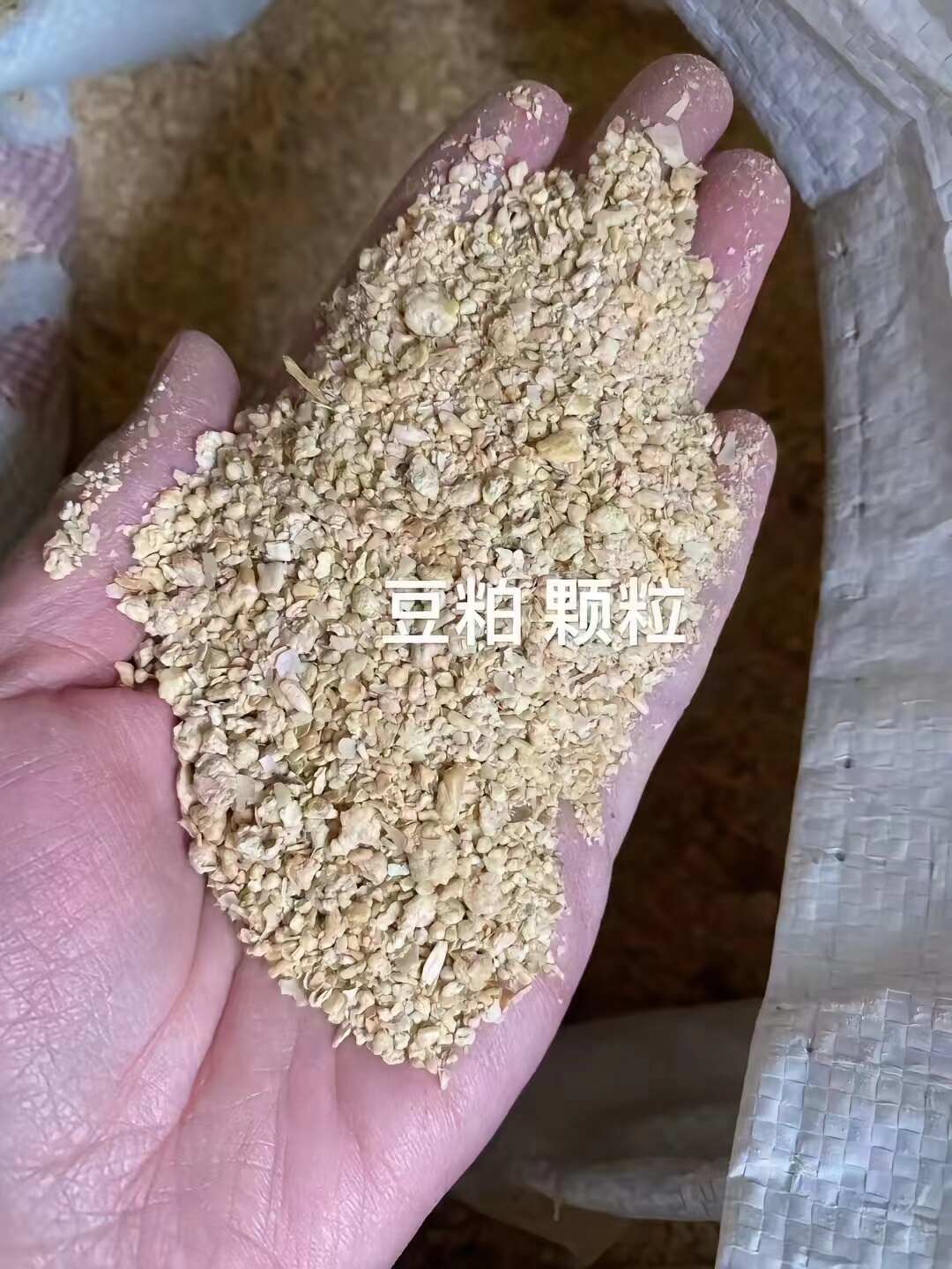 豆粕 蛋白 46常年供应各大厂都是